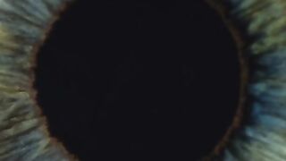 Blindness Overview