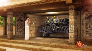 Aalaya Vazhipadu - 28 April 2023 | SunTV