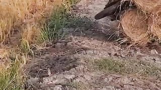 Funny video ???????????????? 6