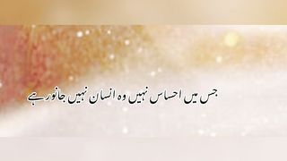 quotes 4