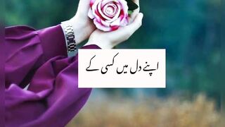 Shaikh saadi quotes