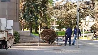 A visit to the park 2