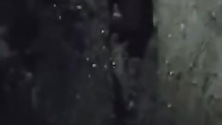 Night time view of Brown Bear in Deosai