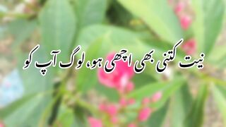 Beautiful lines by Hazrat Ali R.A????