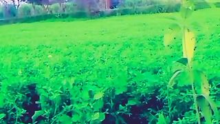 ایگریکلچرل