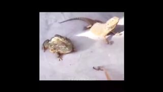 10 Minutes of Random Memes #5