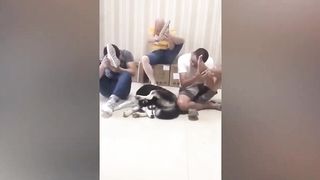 Try Not To Laugh Challenge Best Funny Dogs And Cats Videos