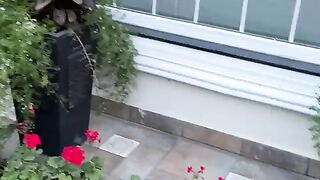 Flowers 8