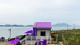 South Korea purple island