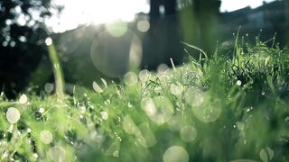 mother love video beautiful nature