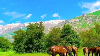 Nature 47