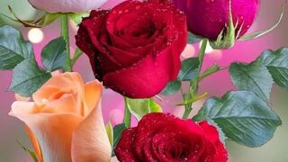 Love ???????? 5