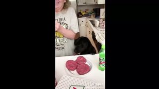 Dogs Doing Funny Things Tik Tok ~ Cutest Puppies TIKTOK Compilation ~ Fluppy 4