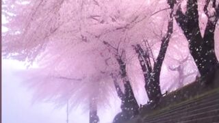 Beautiful scenery of nature
