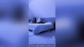 TikToks That Are Impossible Not To Laugh At 2