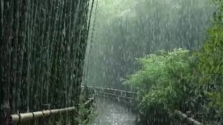 Beautiful scenery of raining
