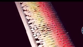 Eye video