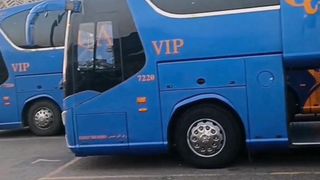 Hajj mission busses in saudi arabia