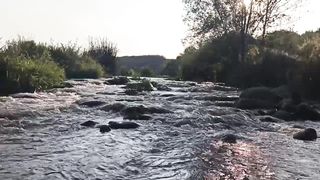 Живой источник