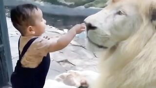 King Lion with Kids funny mood
