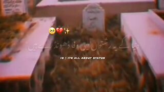 video 41