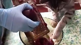 Funny cat trying to pick up meat