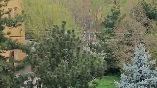 ТВЪРДИЦА БЕСАРАБИЯ ПРОЛЕТТА