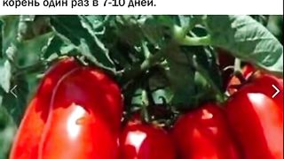 ЗА УСПЕШНА ГРАДИНА 17