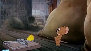 New Tom & Jerry