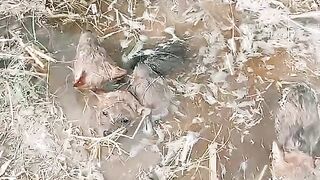 very interested  video #viral #sad #stoped #good #food