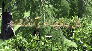 ????NEW???? ماشا والدب ????????‍???? كل بالهناء والشفاء ????????‍♀️ (الحلقة 24)