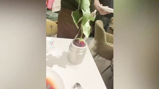 Тикток приколы 2