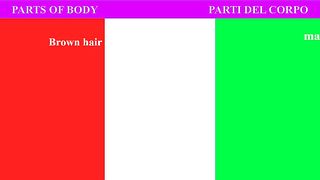 Learn italian : Parts of Body