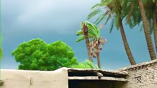 Nature never die its heel your eyes and soul