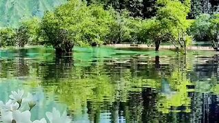 Best Quran recitation with nature.