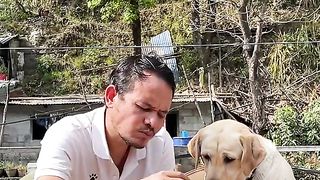Very Samrt dog funny
