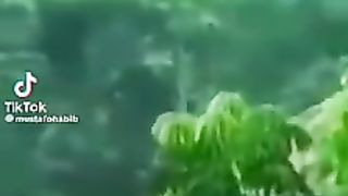 Tik tok 55