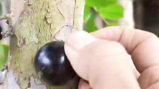 Beautiful Nature 8