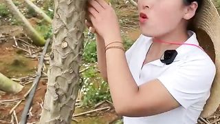 Beautiful Nature 9