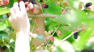 Beautiful Nature with Rural Life 2