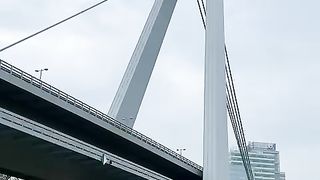 Around the World7