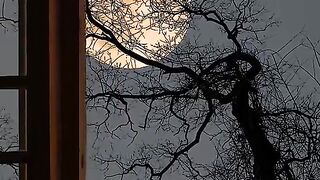 Sun Light view