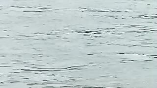 Deep Blue Ocean