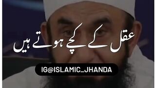 Tariq jamil 2