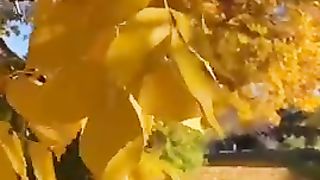 Nature 48