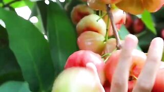 Beautiful Nature with Rural Life 3