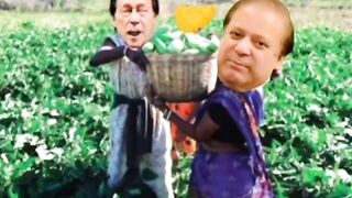 Funny video 686