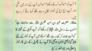 Information 11