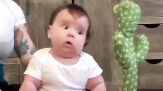 Babies funny reactions to the dancing cactus toy????//funny babies