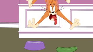 The Tom and Jerry Show